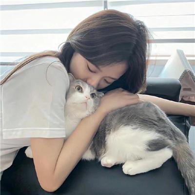 肥大的椅子